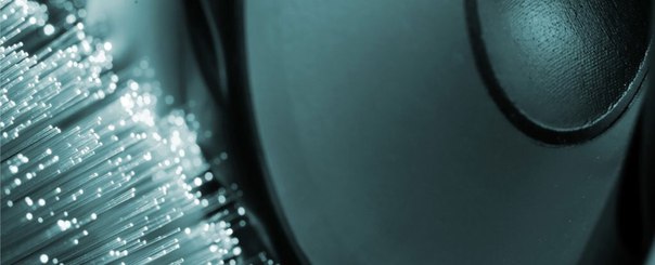 Создана технология, позволяющая слушать бактерии и клетки