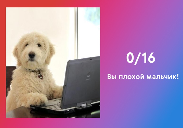 Сможете по названию машины угадать её цвет