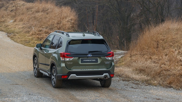 Большой просвет, выносливый привод, умная электроника – вот семёрка городских кроссоверов на каждый день, которых не смутить оффроудом: