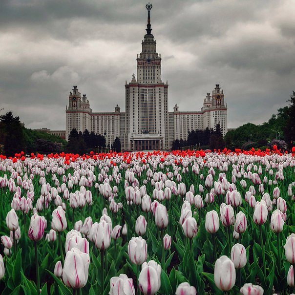 МГУ, Москва, Россия