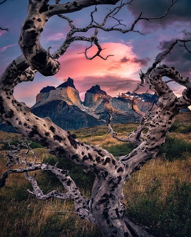 Торрес-дель-Пайне, Патагония, Чили.