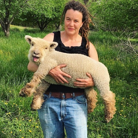 Не только котики, но и овечки бывают милахами 