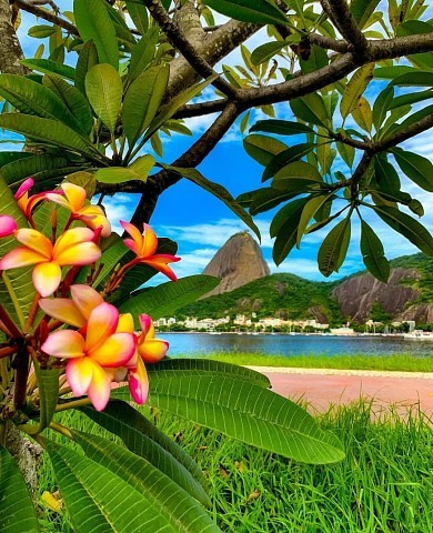 Парк Фламенго (Атерро до Фламенго), Рио-де-Жанейро, Бразилия.