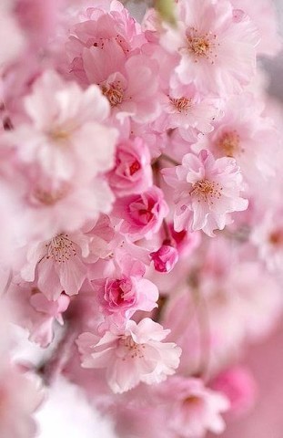 Прежде чем подумать плохо, подумай хорошо.