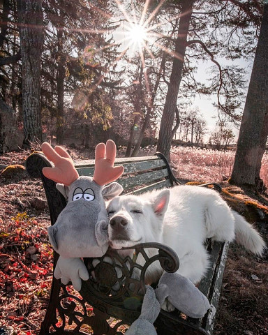 Доброе утро! ... :)))