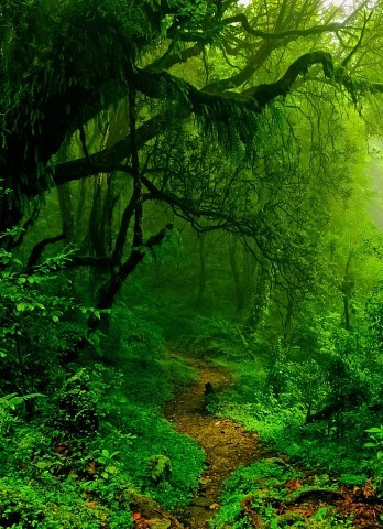 Волшебно ...