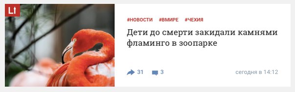 Надо валить из Рашки в цивилизованную Европу. Там хоть можно фламинго камнями закидать.