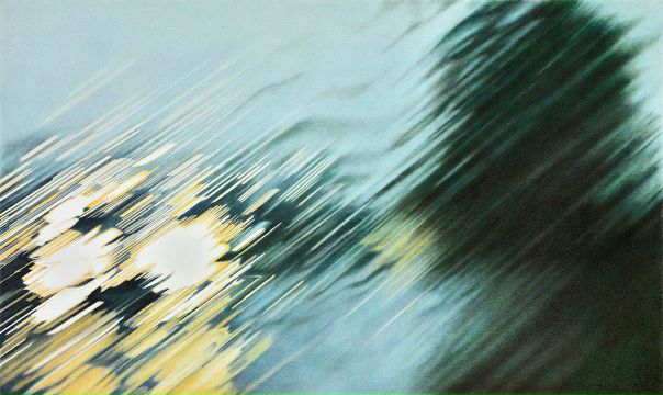Элизабет Паттерсон (Elizabeth Patterson) создает картины, на которых через мокрое стекло изображает мир вокруг. Художнице нравится играть с водными искажениями. Она с детства любила смотреть через стекло машины на окружающий мир, а теперь выражает детские фантазии в своих работах.