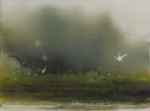 Lin Shun-Shiung