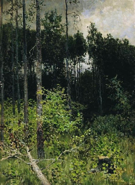 #НочнойЧат@ipainting