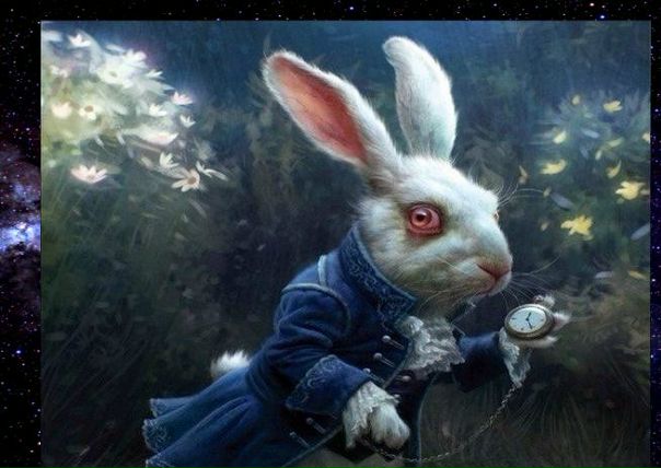 — Не грусти, — сказала Алисa. — Рано или поздно все станет понятно, все станет на свои места и выстроится в единую красивую схему, как кружева. Станет понятно, зачем все было нужно, потому что все будет правильно. 