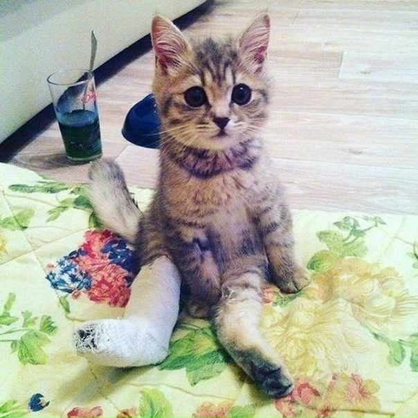 Мааааленький, иди поцелую!