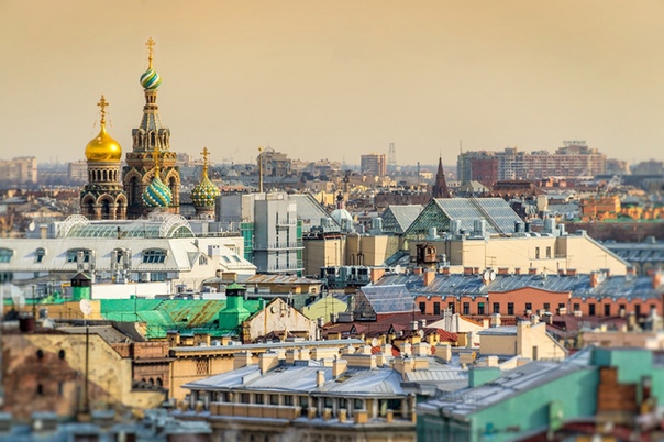Как провести два дня в Санкт-Петербурге