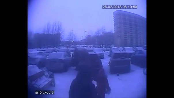 В Девяткино покушаются на активистку, которая поднимает проблему незаконных свалок!