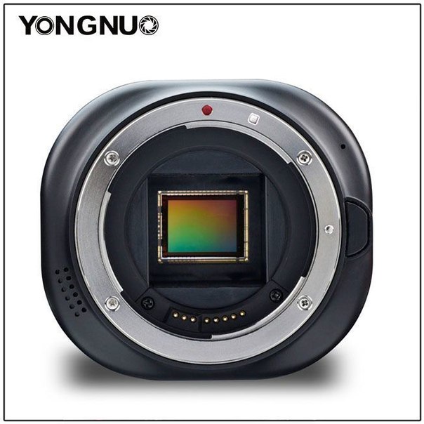 Появились изображения необычной камеры Yongnuo YN43 