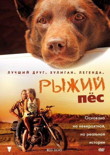 Рыжий пес (2011) 