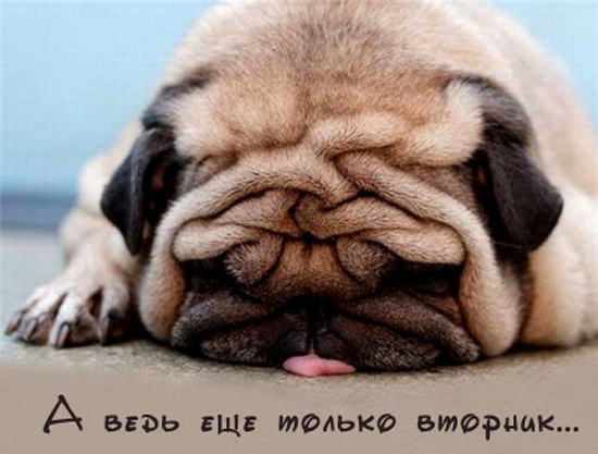Всем доброго утра 