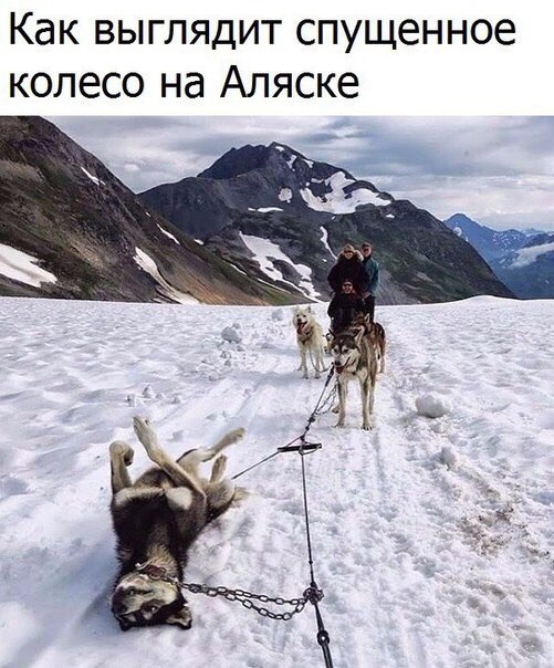 #отпуск #отдых #туристическийжурнал