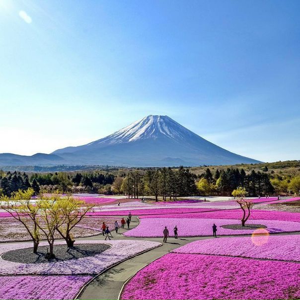 Mount Fuji, Japan