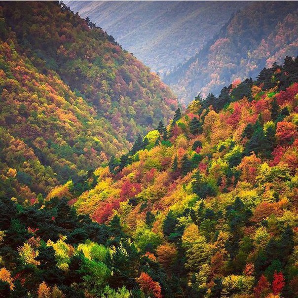 Осень в горах Казахстана