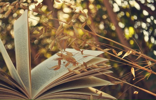 Осень плавно переходит в зиму. Какие книги вы обычно читаете зимой