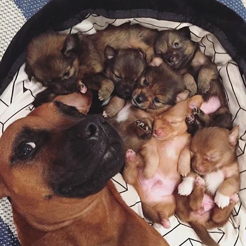Классное селфи