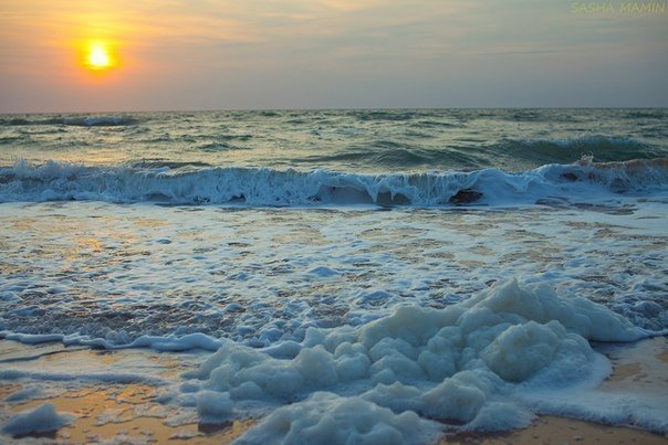 Крым, Азовское море, Щёлкино