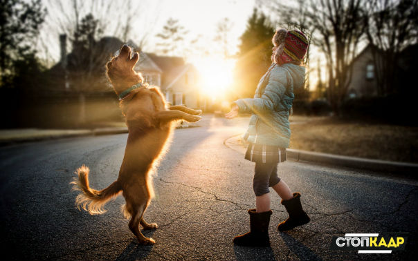 Удачный момент 