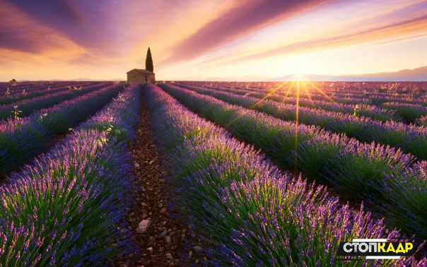 Рассвет в Провансе