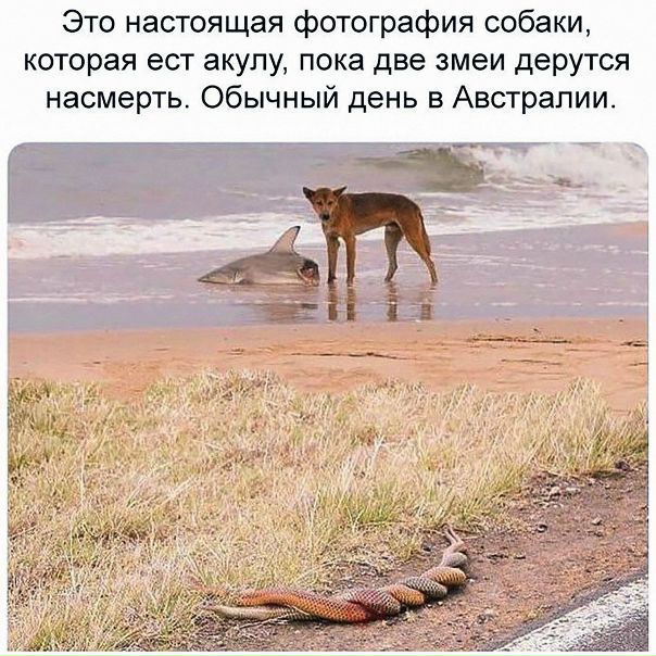 Самый отборный юмор на  Подписывайся!