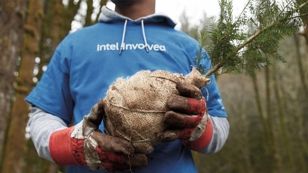 Совершенно новая архитектура Ocean Cove будет использоваться в процессорах Intel когда-то после 2020 года 