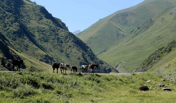 Национальный парк Казбеги, Грузия