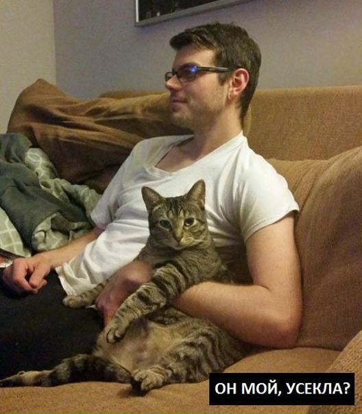 Кошка моего мужа иногда даёт мне понять, что она тут главная чикуля, а не я