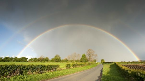 Rainbow