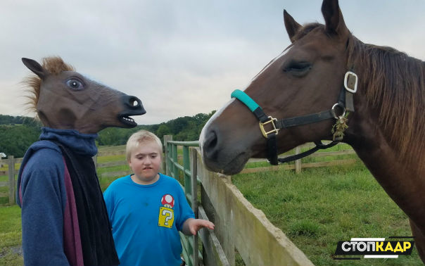 Издеваешься...