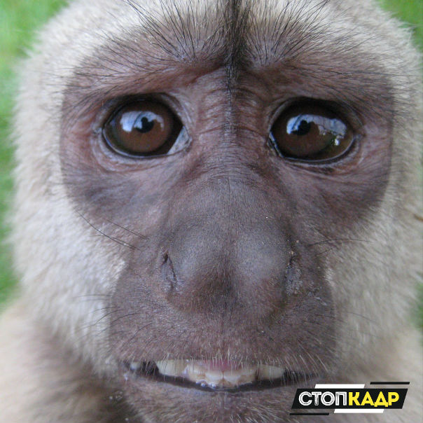 Не откажешь этим глазкам 