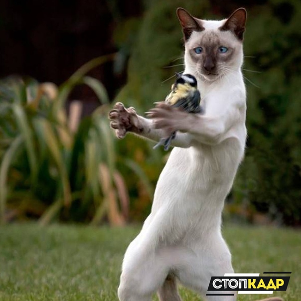 Не ожидал такого поворота 