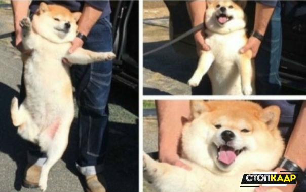 Когда туса давно закончилась, но ты не собираешься уходить домой...