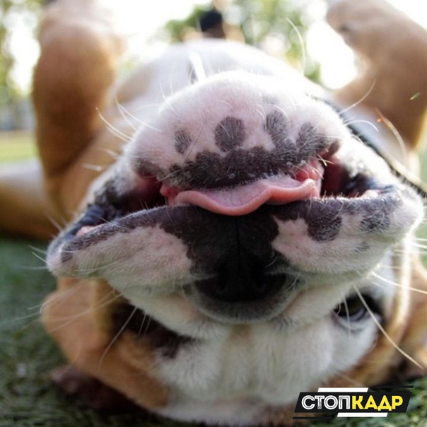 Посмотри на жизнь под другим углом 