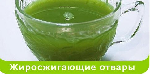 ЖИРОСЖИГАЮЩИЕ ОТВАРЫ