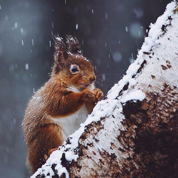 #nature@best_inspiration