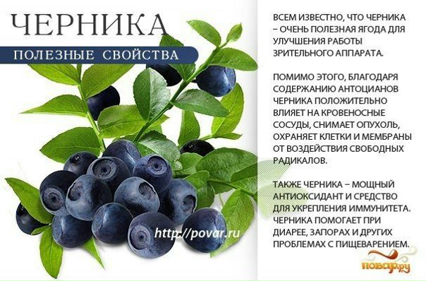Польза ягод