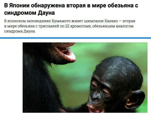 Вас уже двое!