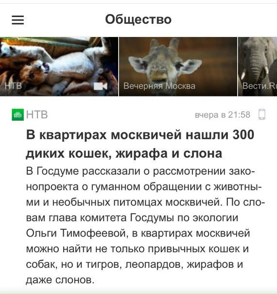 Это не слон! Это моя бывшая!