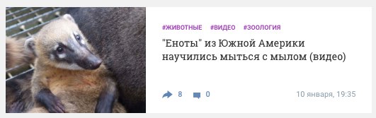 Даже енот моется, а ты нет!