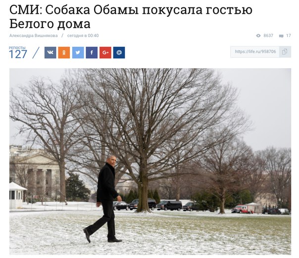 Покусал Обама, а свалили на собаку...