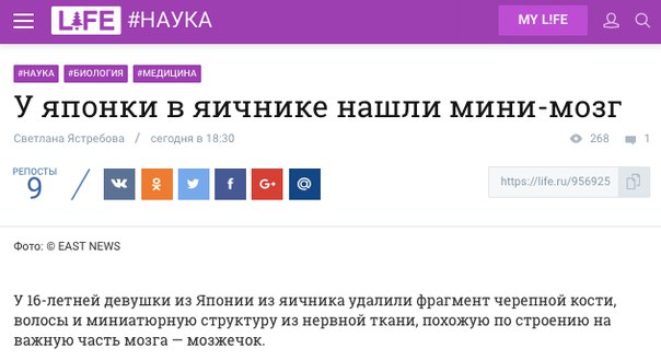 Опа