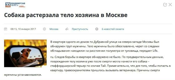 Не забудь покормить собаку!