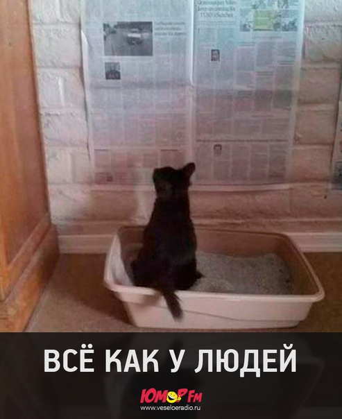 #юморфм