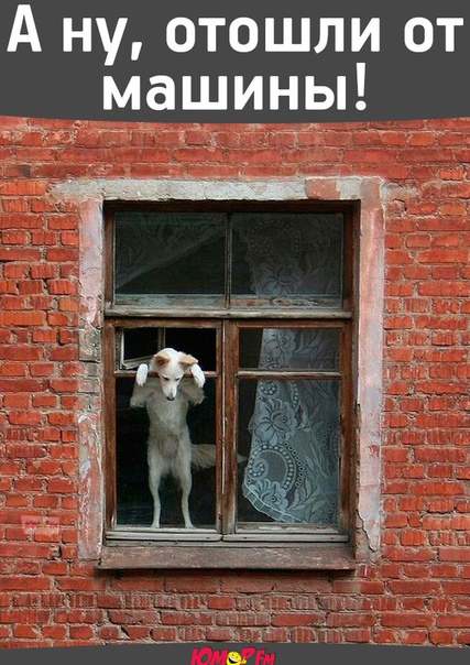 Источник: 